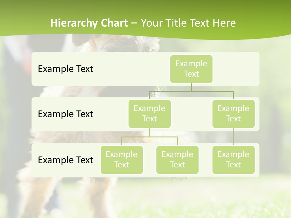 Science Information Geometric PowerPoint Template