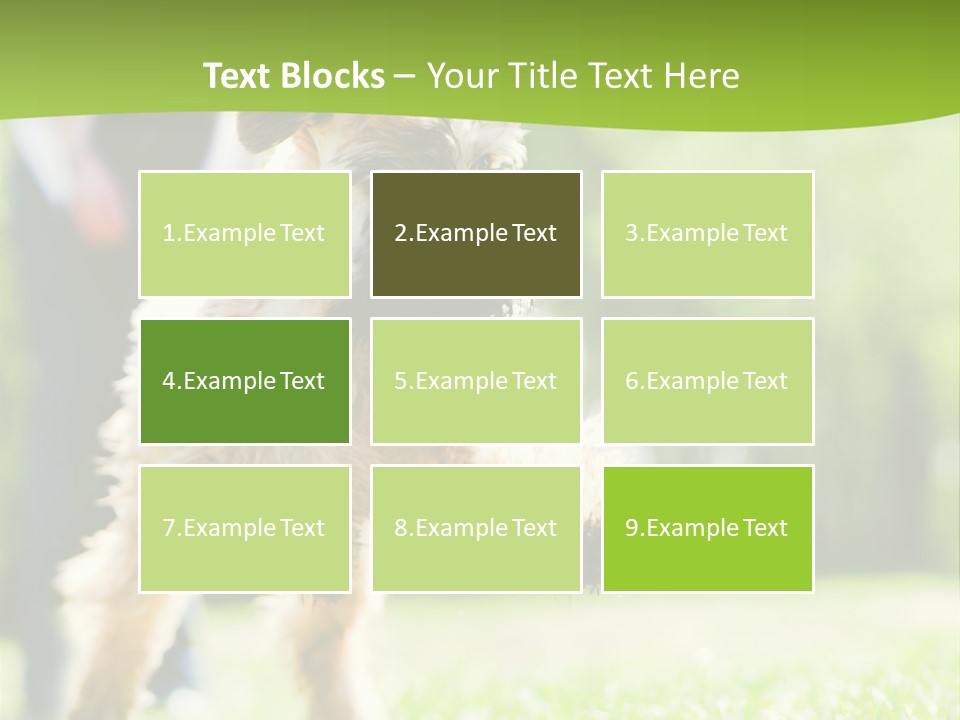 Science Information Geometric PowerPoint Template