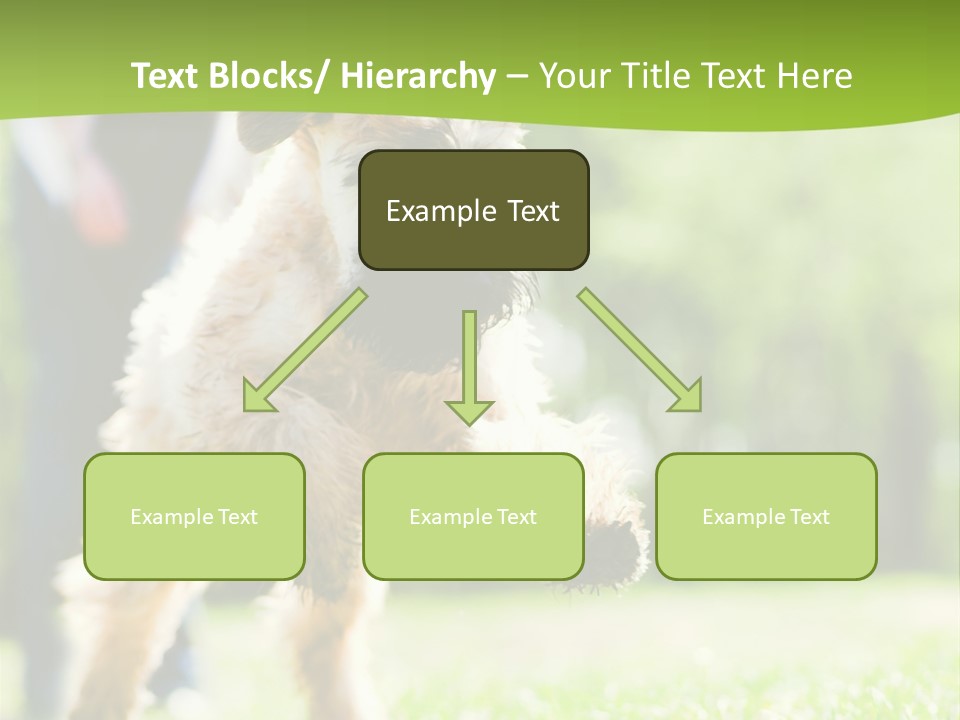 Science Information Geometric PowerPoint Template