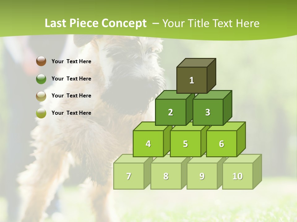 Science Information Geometric PowerPoint Template