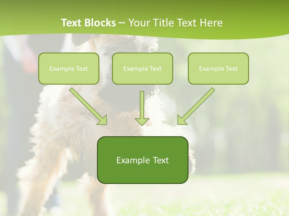 Science Information Geometric PowerPoint Template