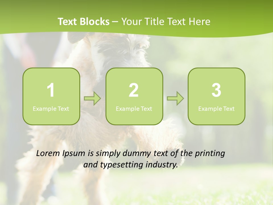Science Information Geometric PowerPoint Template