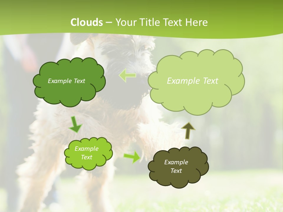 Science Information Geometric PowerPoint Template