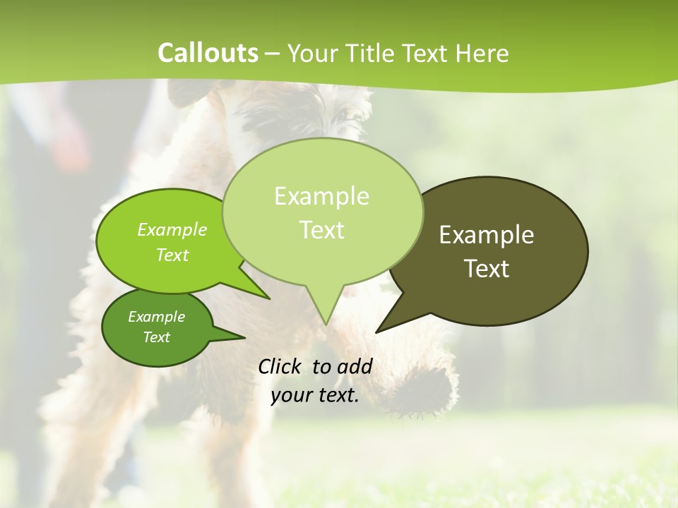 Science Information Geometric PowerPoint Template