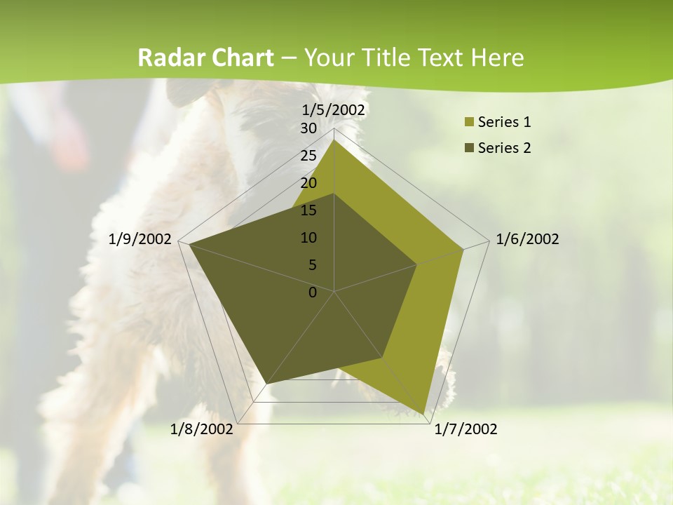 Science Information Geometric PowerPoint Template