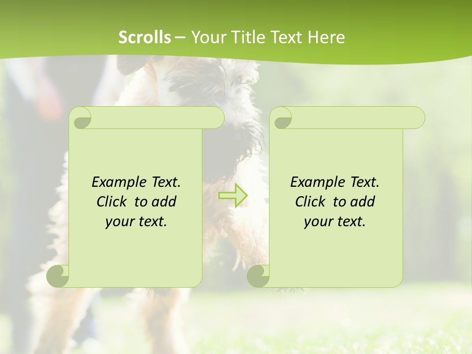 Science Information Geometric PowerPoint Template