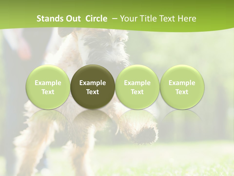 Science Information Geometric PowerPoint Template