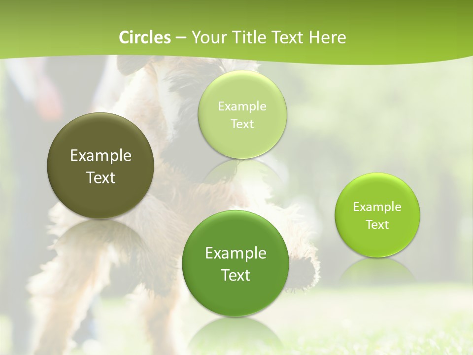 Science Information Geometric PowerPoint Template