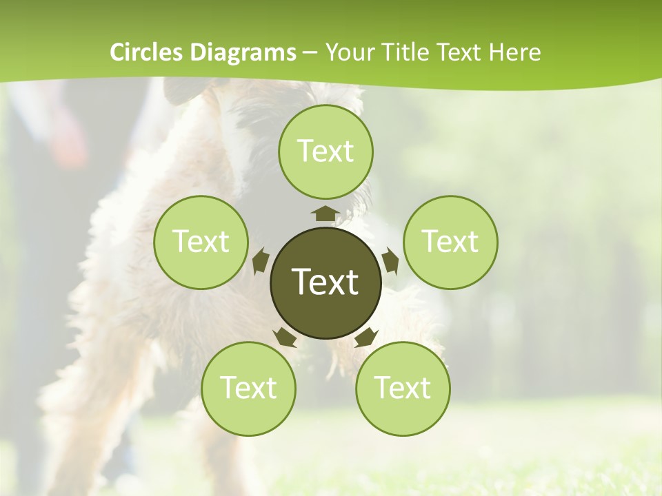 Science Information Geometric PowerPoint Template