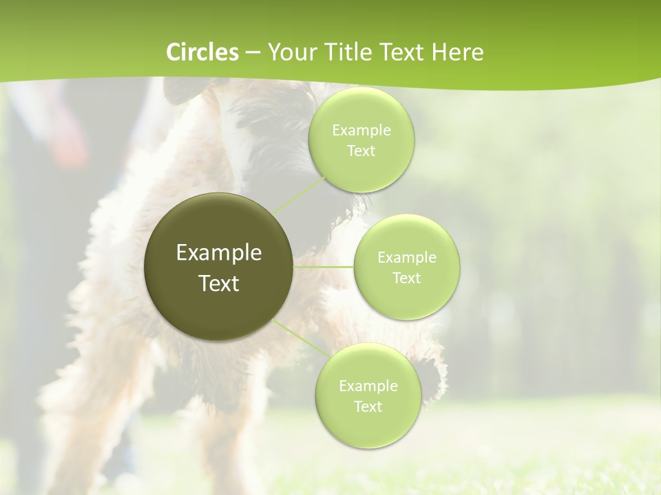 Science Information Geometric PowerPoint Template