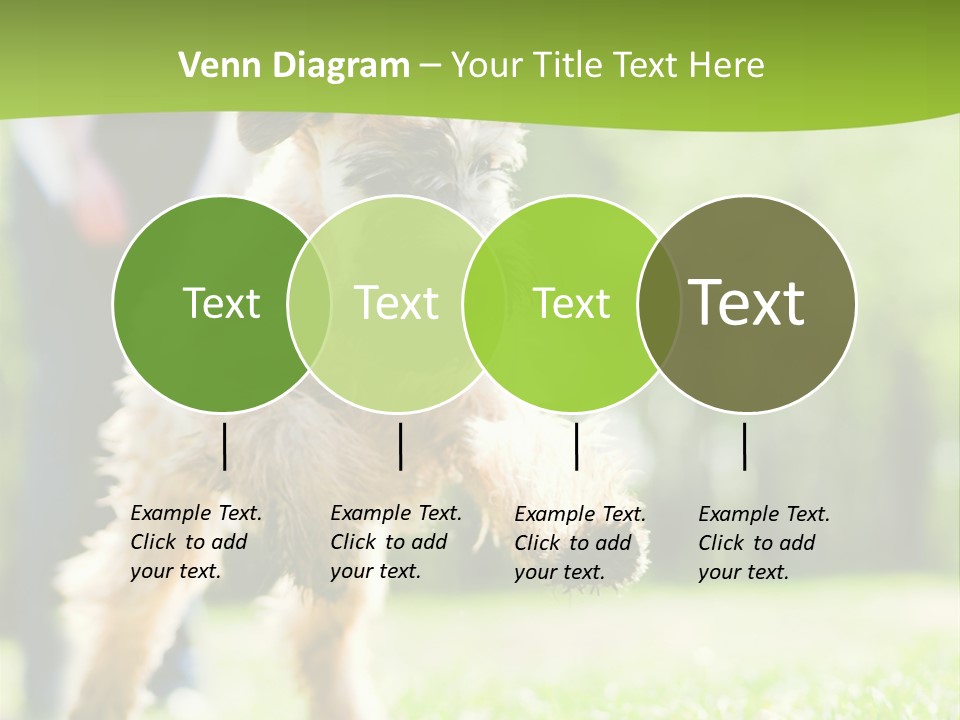Science Information Geometric PowerPoint Template