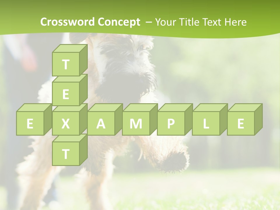 Science Information Geometric PowerPoint Template