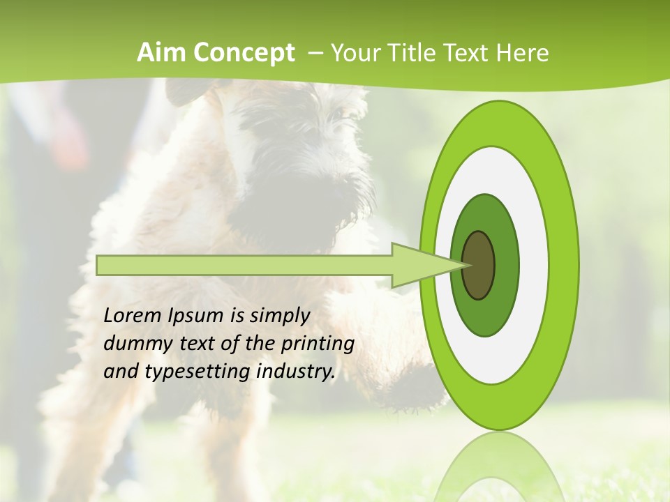 Science Information Geometric PowerPoint Template