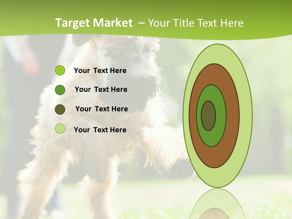 Science Information Geometric PowerPoint Template