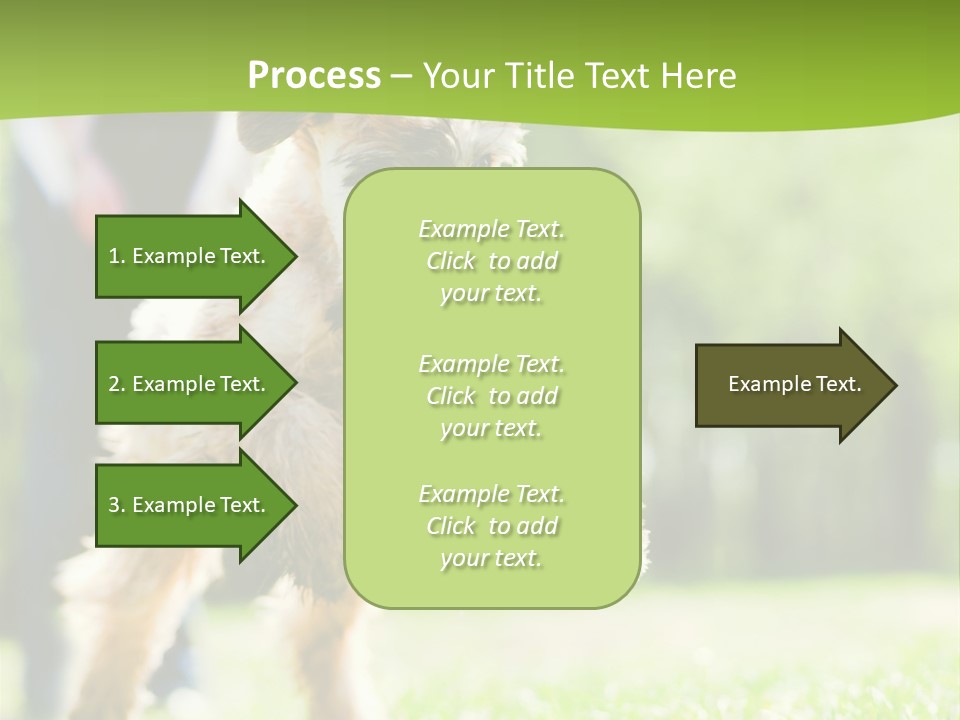 Science Information Geometric PowerPoint Template