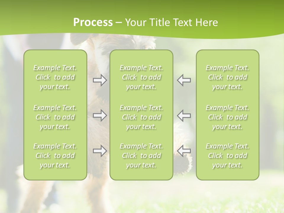 Science Information Geometric PowerPoint Template