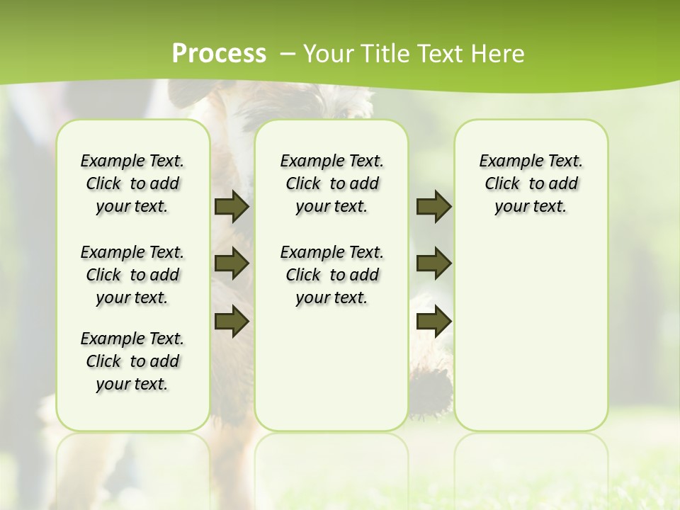 Science Information Geometric PowerPoint Template