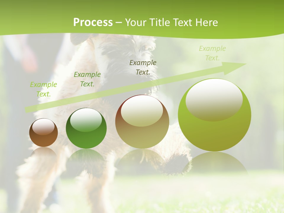Science Information Geometric PowerPoint Template