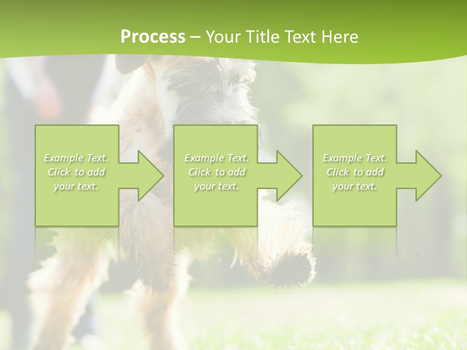 Science Information Geometric PowerPoint Template