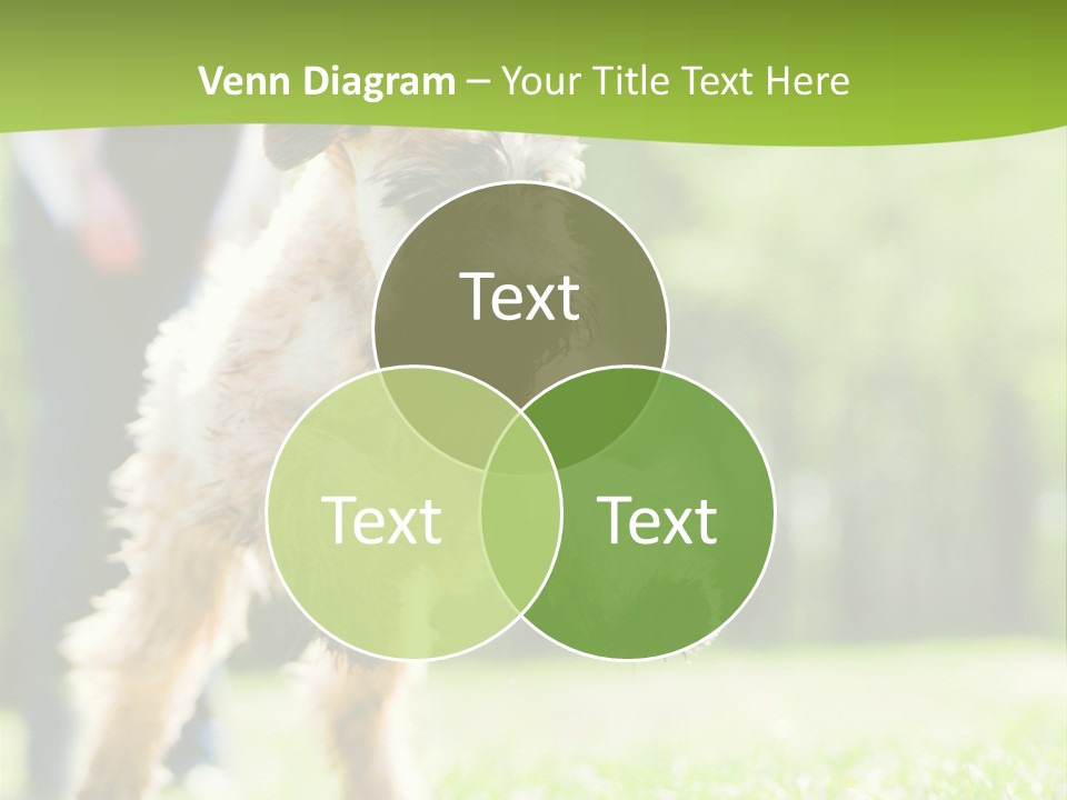 Science Information Geometric PowerPoint Template