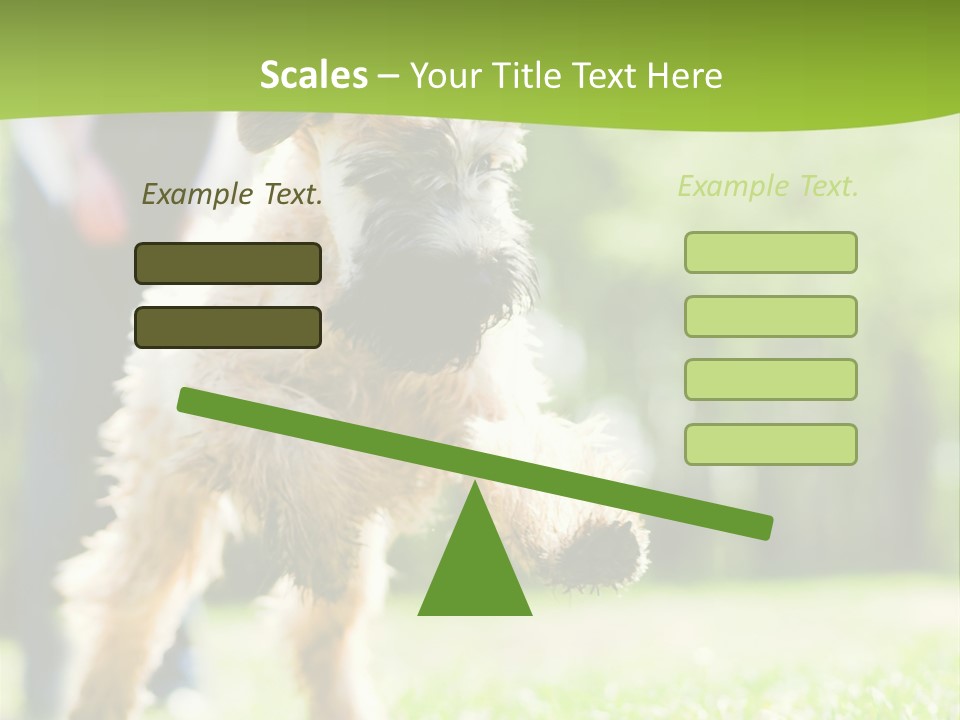 Science Information Geometric PowerPoint Template