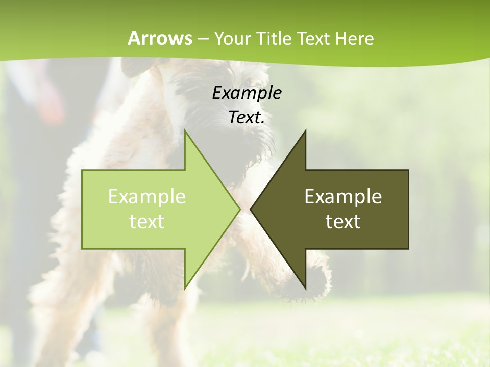 Science Information Geometric PowerPoint Template