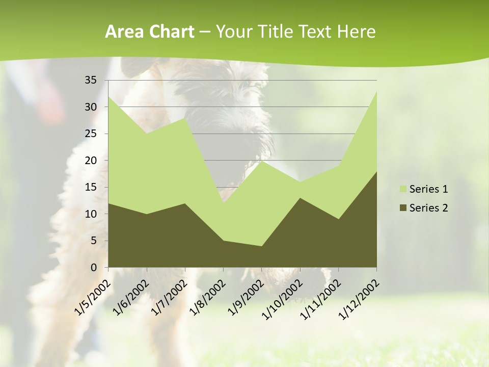 Science Information Geometric PowerPoint Template