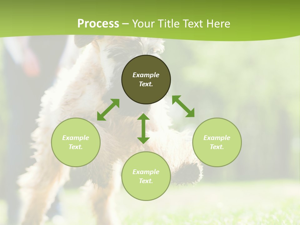 Science Information Geometric PowerPoint Template
