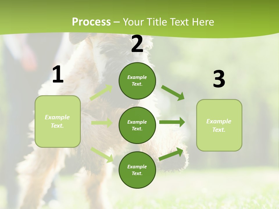Science Information Geometric PowerPoint Template