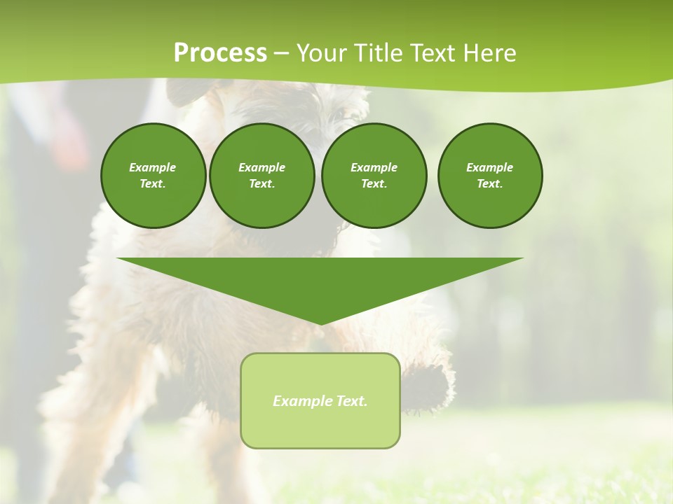 Science Information Geometric PowerPoint Template