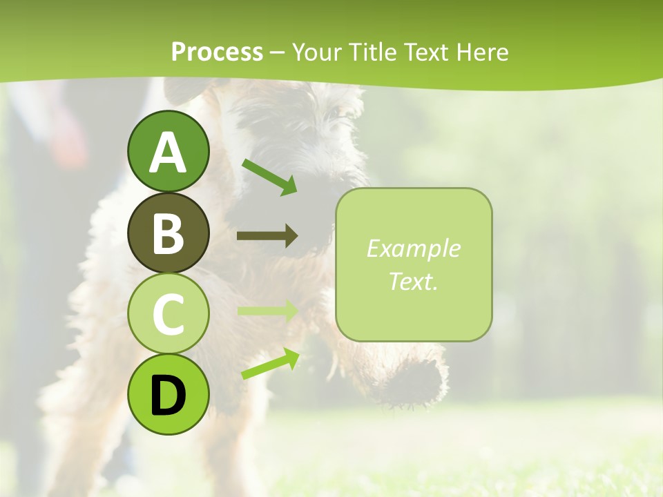 Science Information Geometric PowerPoint Template