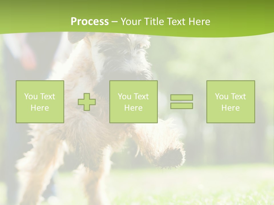 Science Information Geometric PowerPoint Template