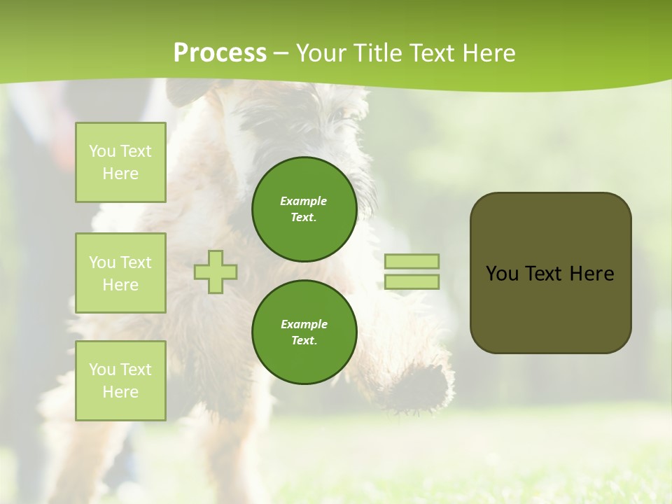 Science Information Geometric PowerPoint Template