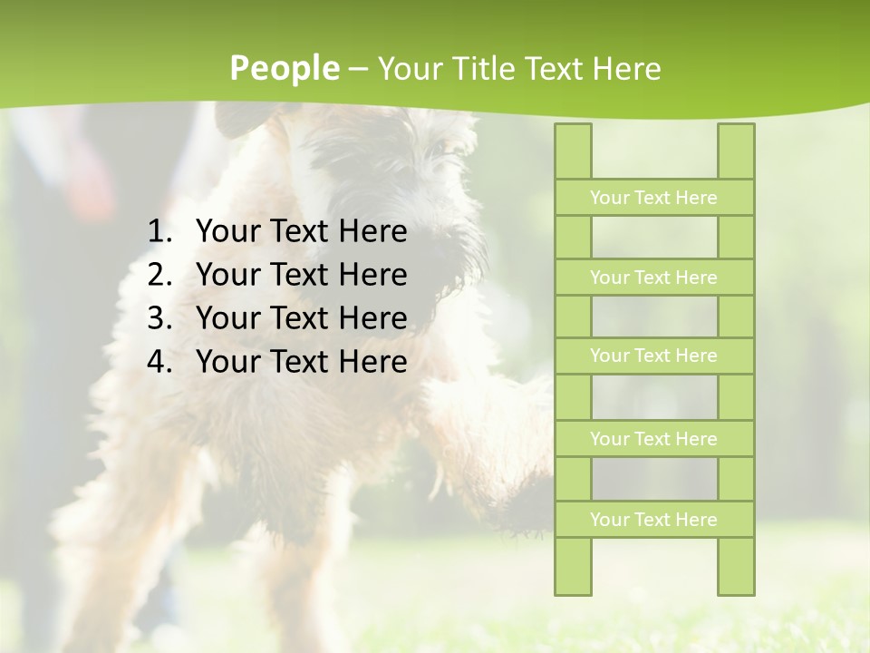 Science Information Geometric PowerPoint Template