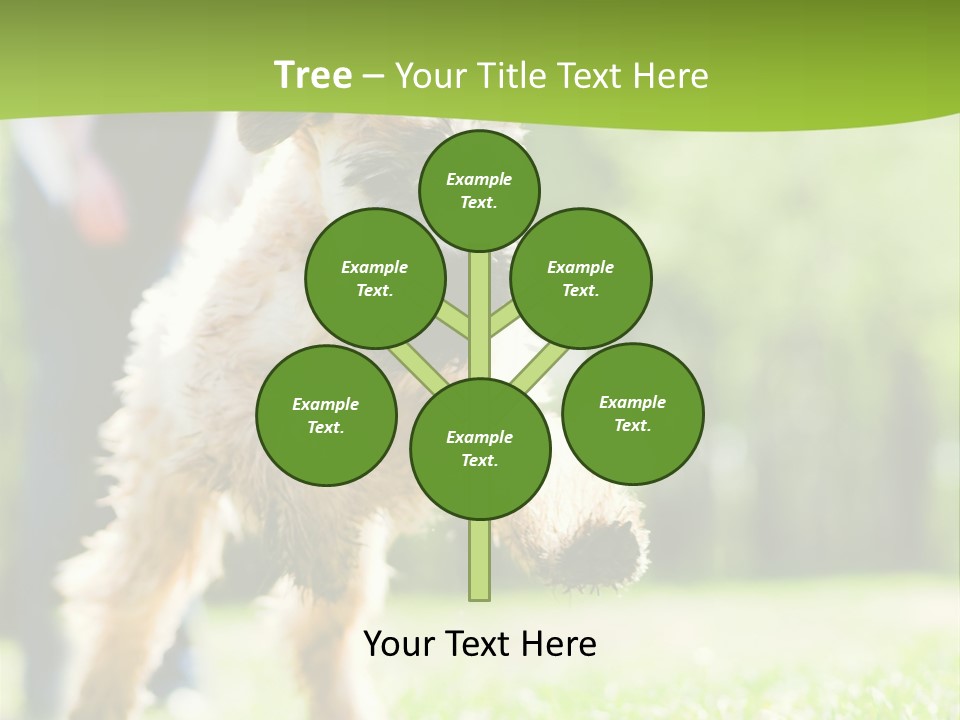 Science Information Geometric PowerPoint Template