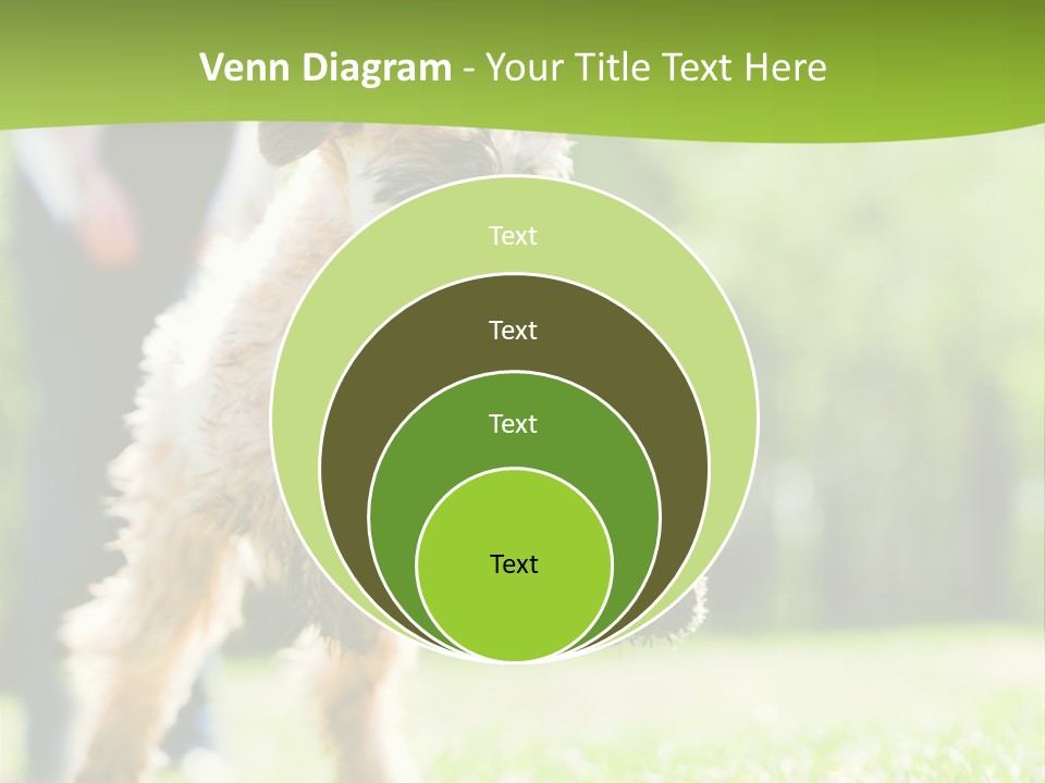 Science Information Geometric PowerPoint Template