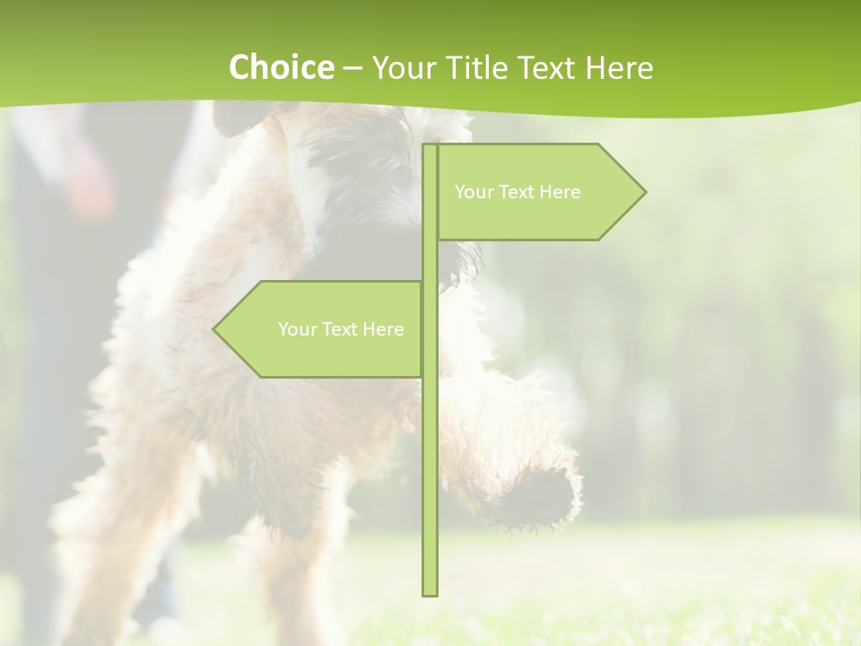 Science Information Geometric PowerPoint Template