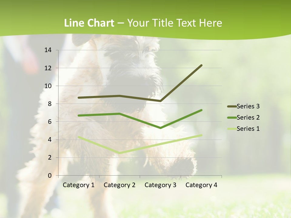 Science Information Geometric PowerPoint Template