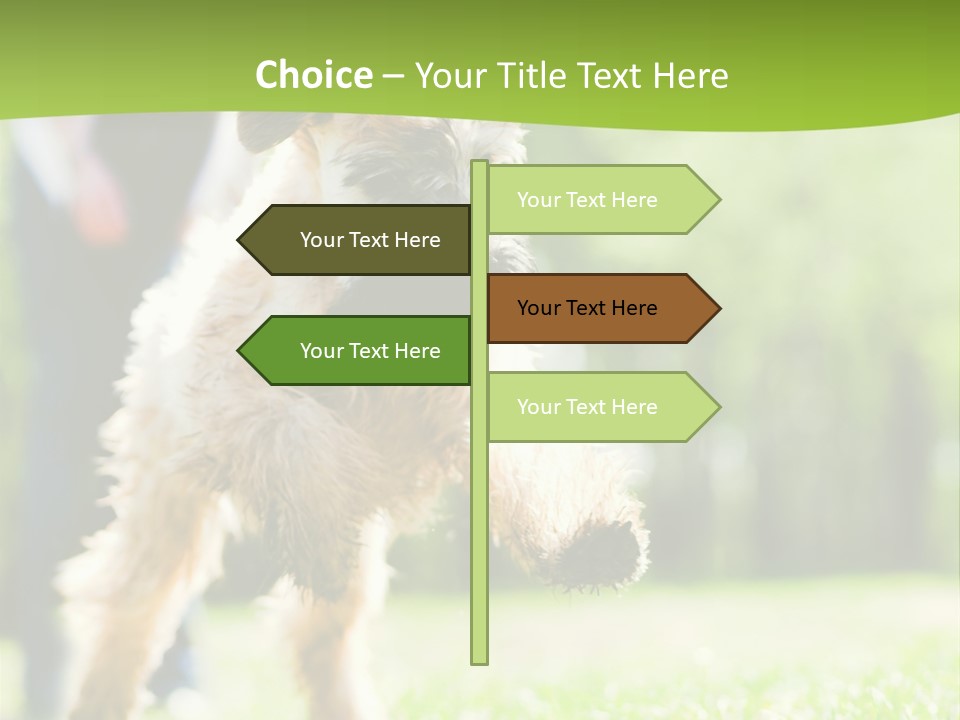 Science Information Geometric PowerPoint Template