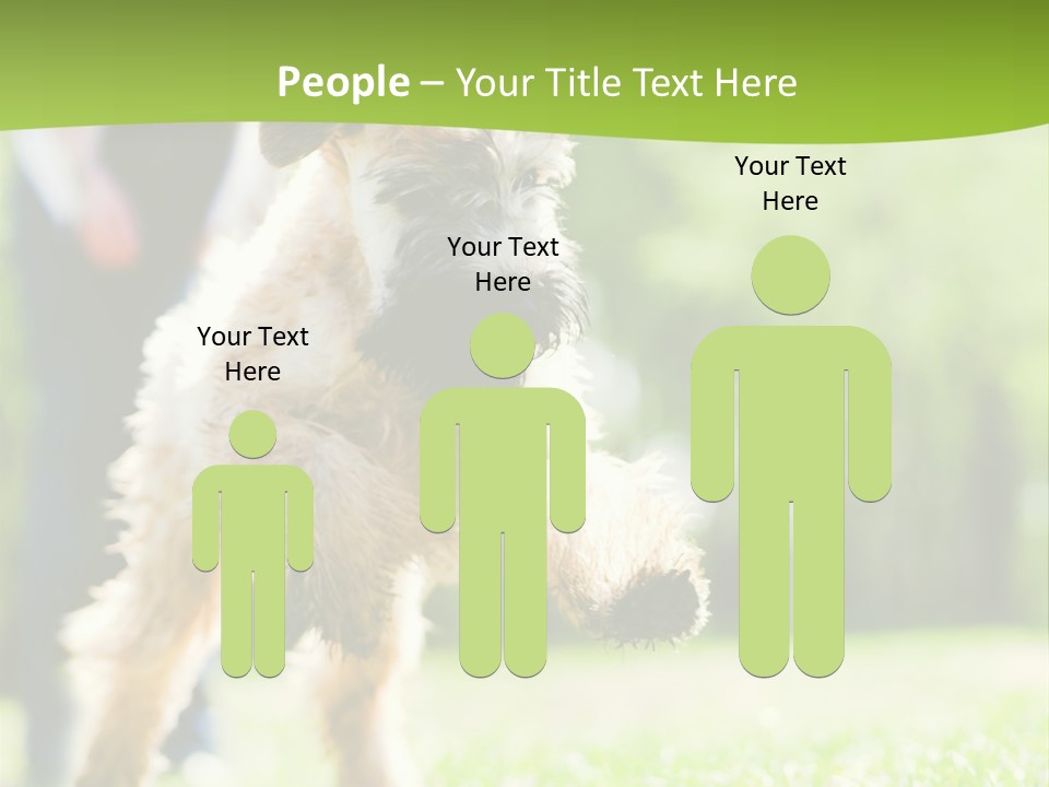 Science Information Geometric PowerPoint Template