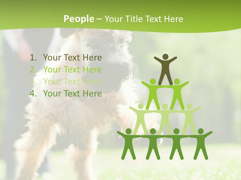 Science Information Geometric PowerPoint Template