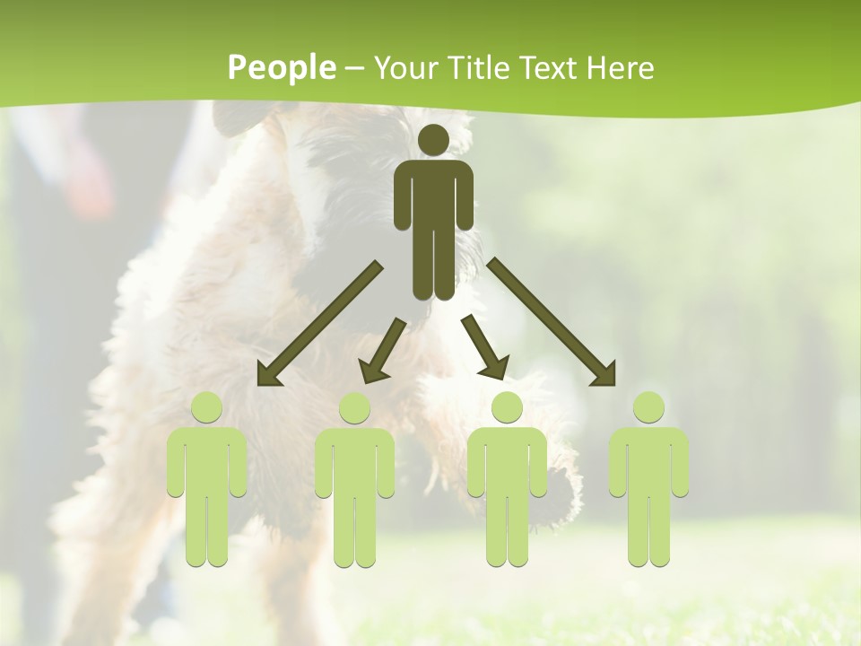 Science Information Geometric PowerPoint Template