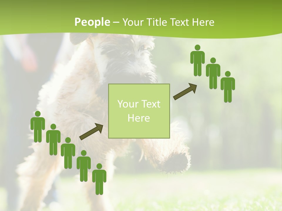 Science Information Geometric PowerPoint Template