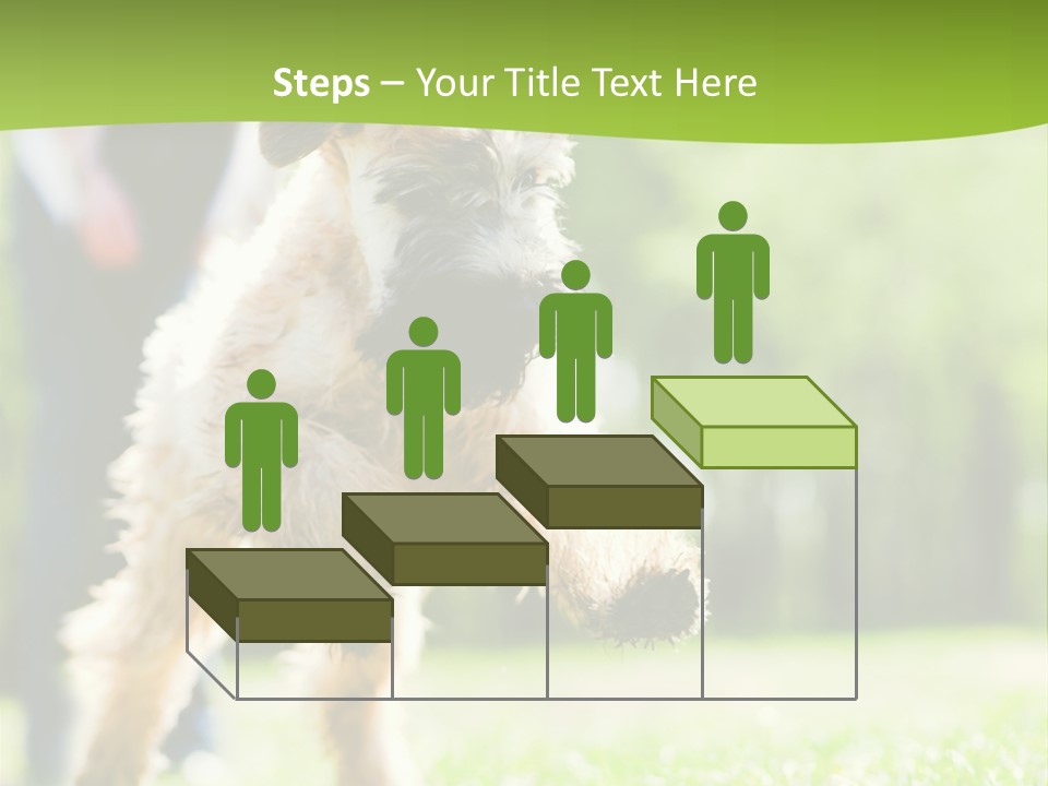 Science Information Geometric PowerPoint Template