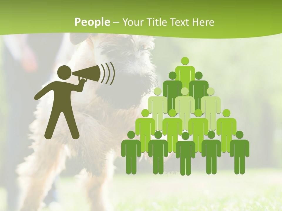 Science Information Geometric PowerPoint Template