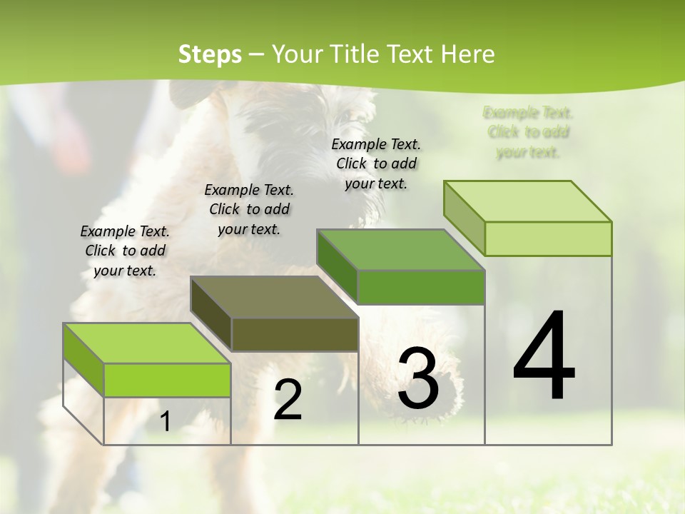 Science Information Geometric PowerPoint Template