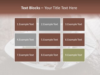 Espresso Vanilla Cappuccino PowerPoint Template