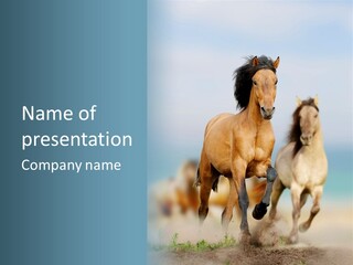 Gallop Sand Motion PowerPoint Template