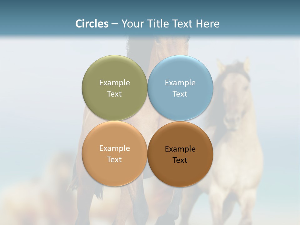 Gallop Sand Motion PowerPoint Template