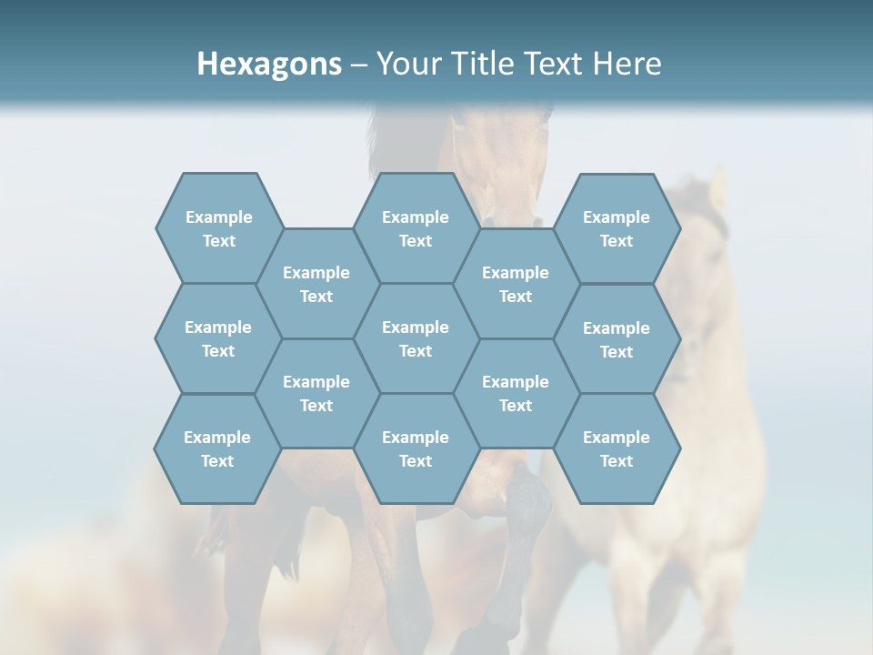 Gallop Sand Motion PowerPoint Template